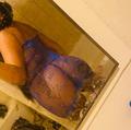  is Female Escorts. | Greenville | South Carolina | United States | AmorousHug