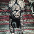  is Female Escorts. | Owensboro | Kentucky | United States | AmorousHug