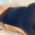  is Female Escorts. | Kalispell | Montana | United States | AmorousHug