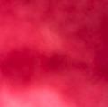  is Female Escorts. | Staten Island | New York | United States | AmorousHug