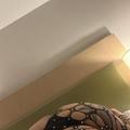  is Female Escorts. | Inland Empire | California | United States | AmorousHug