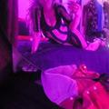  is Female Escorts. | Niagara | Ontario | Canada | AmorousHug