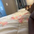  is Female Escorts. | Williamsport | Pennsylvania | United States | AmorousHug