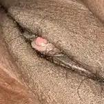  is Female Escorts. | Memphis | Tennessee | United States | AmorousHug