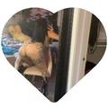  is Female Escorts. | Orange County | California | United States | AmorousHug