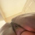  is Female Escorts. | Greensboro | North Carolina | United States | AmorousHug