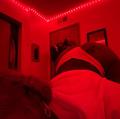  is Female Escorts. | Los Angeles | California | United States | AmorousHug