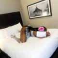  is Female Escorts. | Hamilton | Ontario | Canada | AmorousHug