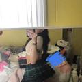  is Female Escorts. | San Jose | California | United States | AmorousHug