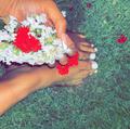  is Female Escorts. | Ocala | Florida | United States | AmorousHug