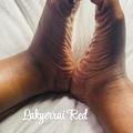 is Female Escorts. | Tuscaloosa | Alabama | United States | AmorousHug