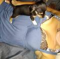  is Female Escorts. | Phoenix | Arizona | United States | AmorousHug