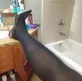  is Female Escorts. | Memphis | Tennessee | United States | AmorousHug