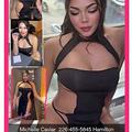  is Female Escorts. | Kitchener | Ontario | Canada | AmorousHug