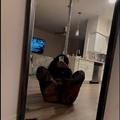  is Female Escorts. | Phoenix | Arizona | United States | AmorousHug