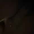  is Female Escorts. | Panama City | Florida | United States | AmorousHug