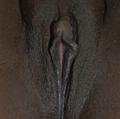  is Female Escorts. | Saginaw | Michigan | United States | AmorousHug