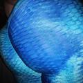  is Female Escorts. | Grande Prairie | Alberta | Canada | AmorousHug