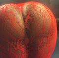  is Female Escorts. | Saskatoon | Saskatchewan | Canada | AmorousHug