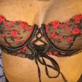  is Female Escorts. | Austin | Texas | United States | AmorousHug