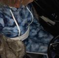  is Female Escorts. | Buffalo | New York | United States | AmorousHug