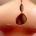  is Female Escorts. | Newport News | Virginia | United States | AmorousHug
