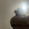  is Female Escorts. | Memphis | Tennessee | United States | AmorousHug