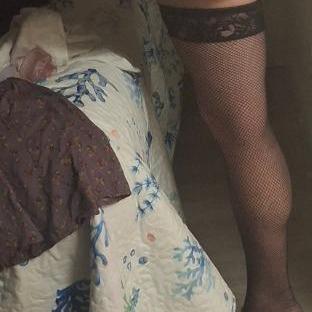  is Female Escorts. | Daytona | Florida | United States | AmorousHug