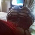  is Female Escorts. | Chicago | Illinois | United States | AmorousHug