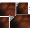  is Female Escorts. | Columbia | South Carolina | United States | AmorousHug