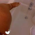  is Female Escorts. | Memphis | Tennessee | United States | AmorousHug