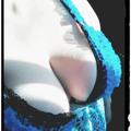 is Female Escorts. | Edmonton | Alberta | Canada | AmorousHug