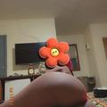 is Female Escorts. | Tampa | Florida | United States | AmorousHug