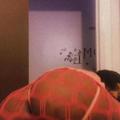  is Female Escorts. | Seattle | Washington | United States | AmorousHug