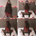  is Female Escorts. | Columbia | South Carolina | United States | AmorousHug