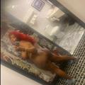  is Female Escorts. | Knoxville | Tennessee | United States | AmorousHug