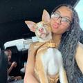 is Female Escorts. | Houma | Louisiana | United States | AmorousHug