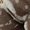  is Female Escorts. | Fort Worth | Texas | United States | AmorousHug