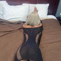  is Female Escorts. | Houston | Texas | United States | AmorousHug