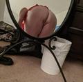  is Female Escorts. | Providence | Rhode Island | United States | AmorousHug