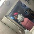  is Female Escorts. | Dallas | Texas | United States | AmorousHug