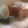  is Female Escorts. | Sacramento | California | United States | AmorousHug