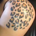  is Female Escorts. | Virginia Beach | Virginia | United States | AmorousHug