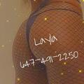  is Female Escorts. | Toronto | Ontario | Canada | AmorousHug