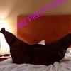  is Female Escorts. | Frederick | Maryland | United States | AmorousHug