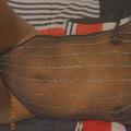  is Female Escorts. | Catskills | New York | United States | AmorousHug