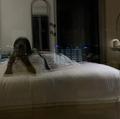  is Female Escorts. | Flint | Michigan | United States | AmorousHug