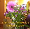  is Female Escorts. | Charlotte | North Carolina | United States | AmorousHug