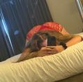  is Female Escorts. | Eugene | Oregon | United States | AmorousHug