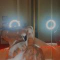  is Female Escorts. | Memphis | Tennessee | United States | AmorousHug